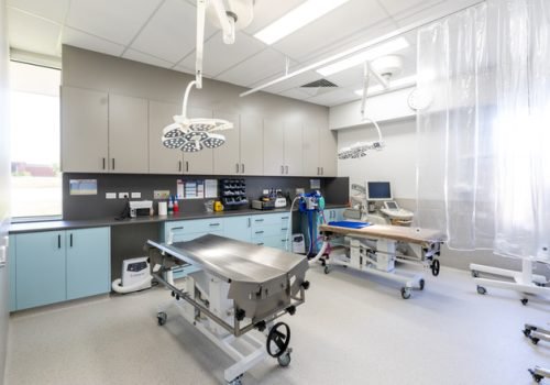 Veterinary & Animal Hospital Construction